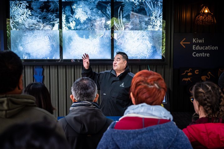 Waitomo Caves & Rotorua + Te Puia Small-Group Tour from Auckland