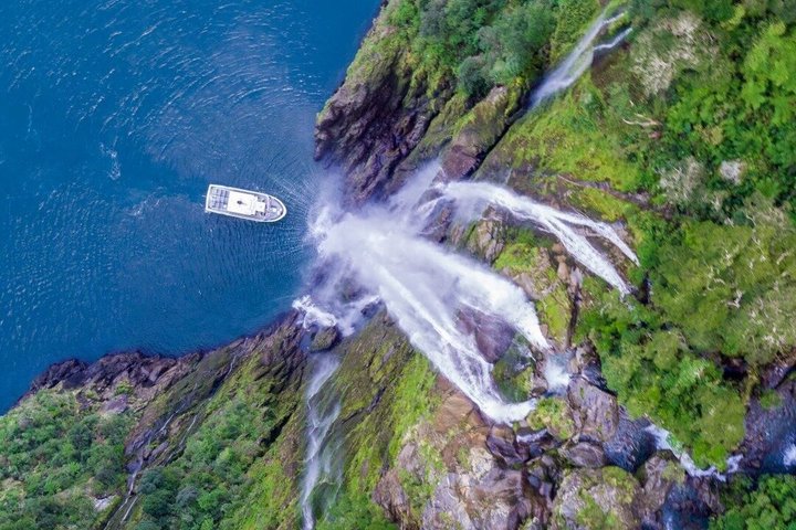 Premium Milford Sound Small Group Tour & Cruise from Queenstown