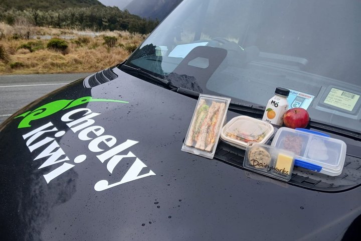 Premium Milford Sound Tour, Cruise & Lunch from Te Anau