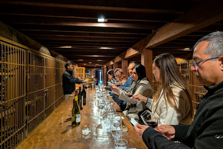 Viña Santa Rita Premium Tour and 5 Wine Tasting Small Group