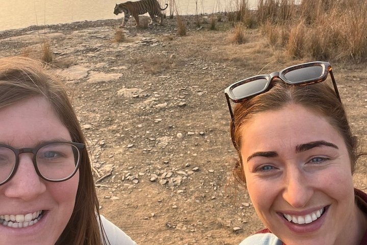 Ranthambore Tiger Safari | Shared Canter, Jeep & Private Safari