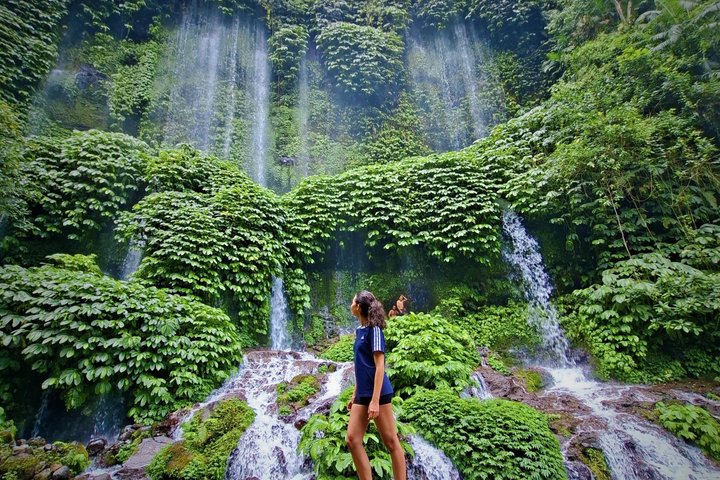 Lombok Private Trip: 4 Waterfalls, Rice Fields & Jungle Trek