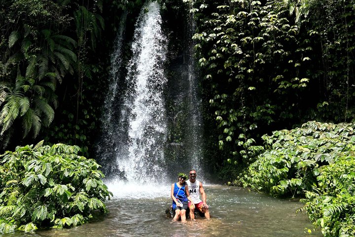 Lombok Private Trip: 4 Waterfalls, Rice Fields & Jungle Trek
