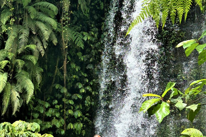 Lombok Private Trip: 4 Waterfalls, Rice Fields & Jungle Trek