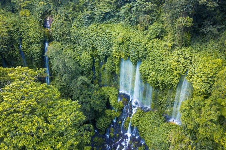 Lombok Private Trip: 4 Waterfalls, Rice Fields & Jungle Trek