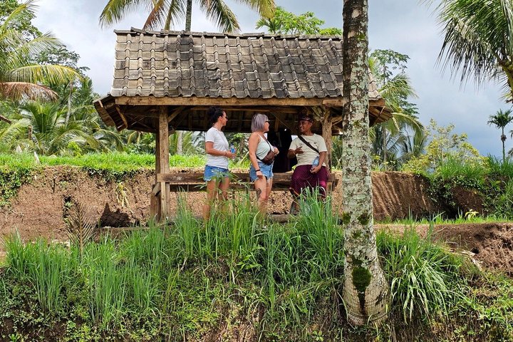 Lombok Private Trip: 4 Waterfalls, Rice Fields & Jungle Trek