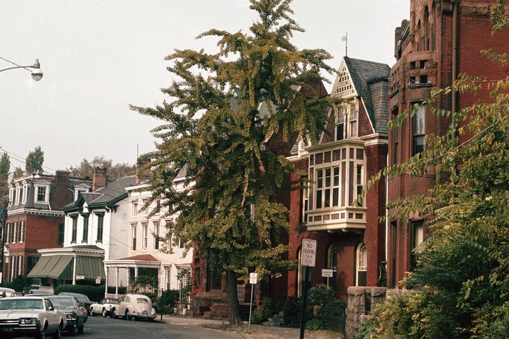 Historic Norfolk Guided Walking Tour