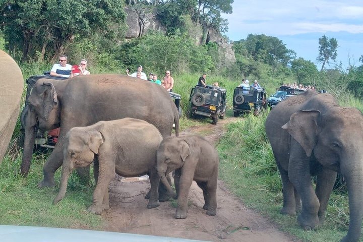 Sri Lanka Private Driver With Car