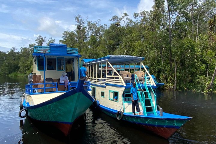 3 Days Deluxe Cabin Houseboat Orangutan Tanjung Puting