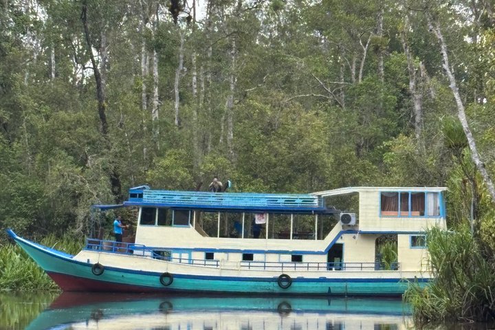3 Days Deluxe Cabin Houseboat Orangutan Tanjung Puting