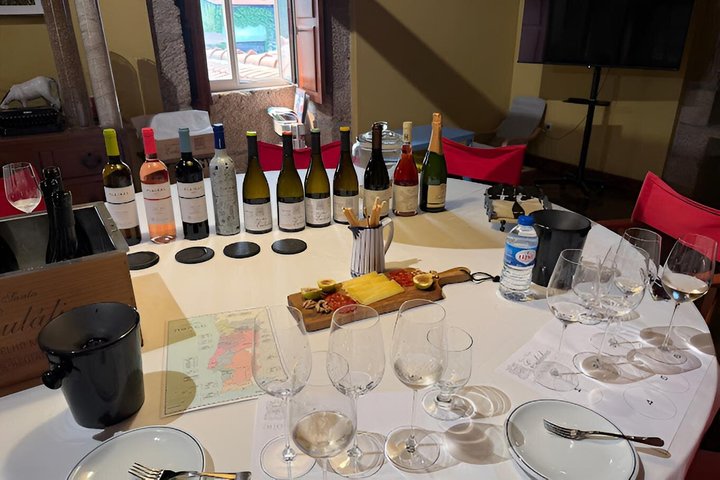 Green Wine and Villa do Conde Private Tour from Porto