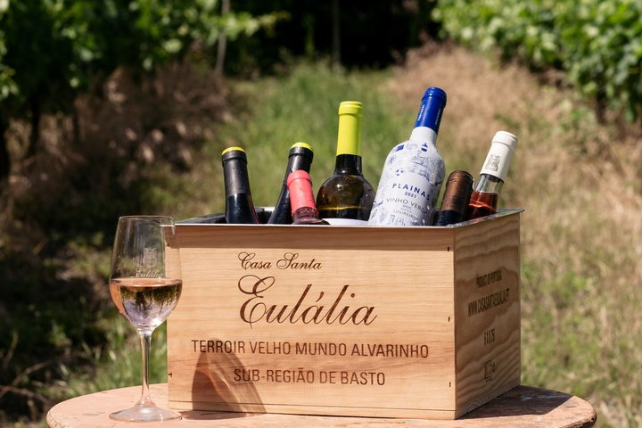 Green Wine and Villa do Conde Private Tour from Porto