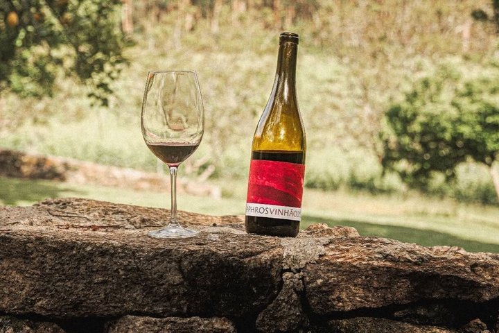 Green Wine and Villa do Conde Private Tour from Porto
