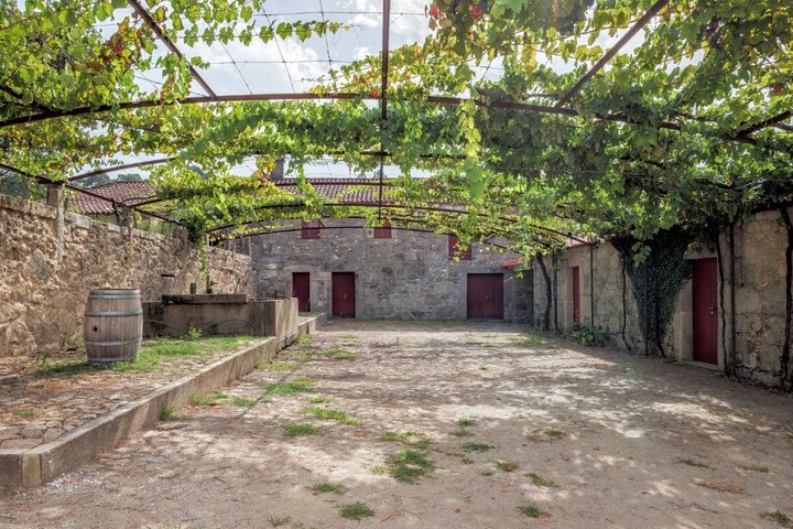 Green Wine and Villa do Conde Private Tour from Porto