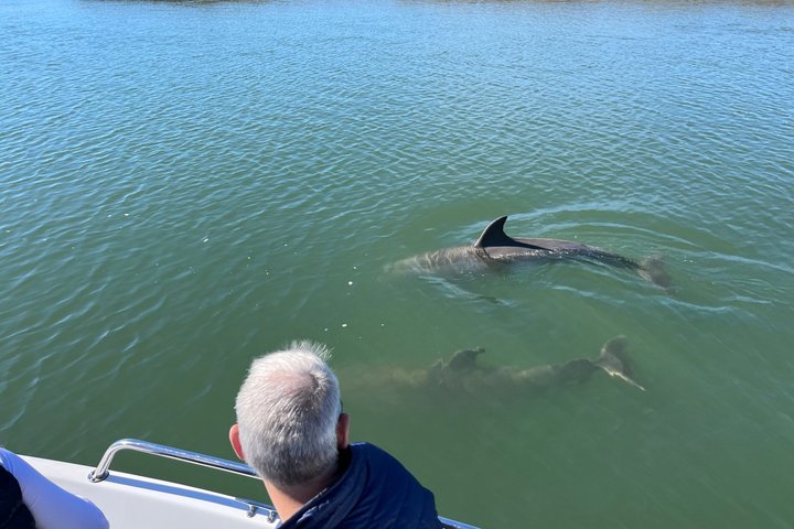 Private Dolphin Watch, Lighthouse and Ecological Boat Tours