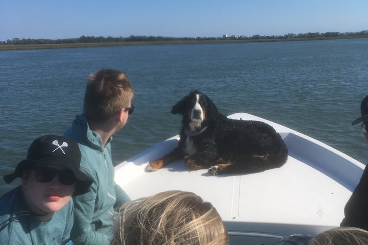 Private Dolphin Watch, Lighthouse and Ecological Boat Tours