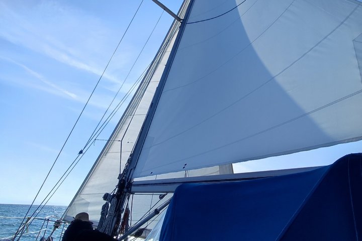 All Inclusive Daily Sailing with BBQ on Board