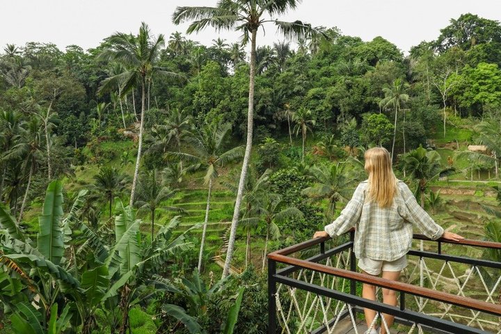 Private 3 Day Bali Tour with Temples Waterfalls and Rice Terraces