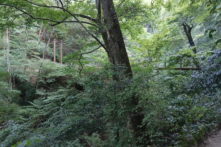 Tokyo: Mt. Takao Tour with Ramen and Tattoo-Okay Hot Spring