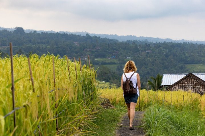 Private 3 Day Bali Tour with Temples Waterfalls and Rice Terraces