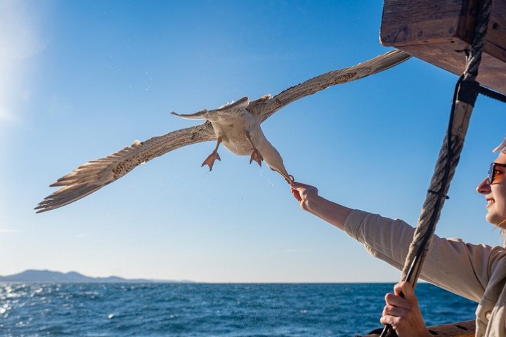 Zadar: Traditional Boat Tour with Unlimited Wine and 3 Stops