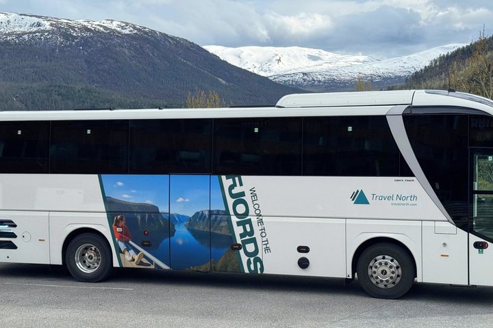 Bergen: UNESCO NærøyFjord Cruise, Flåm & Stegastein - Incl. Lunch