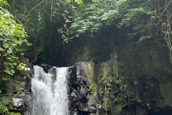 Coffee and Waterfall of São Tomé