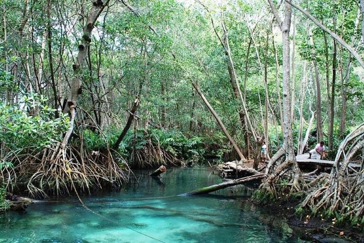 Excursion to Celestun Biosphere and Beach Day from Merida