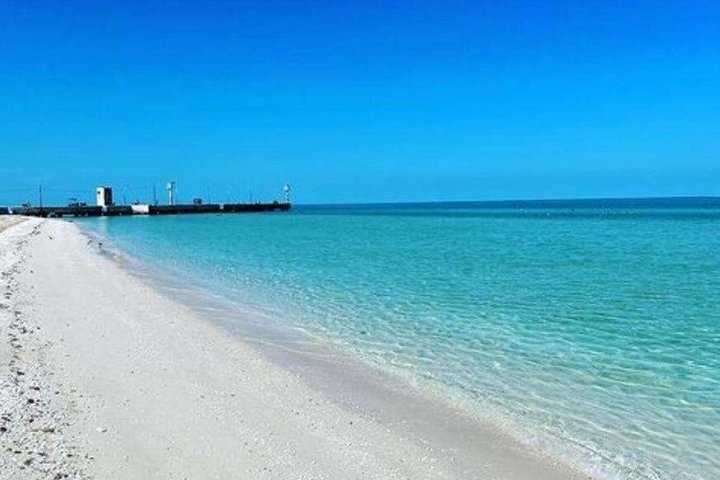 Excursion to Celestun Biosphere and Beach Day from Merida
