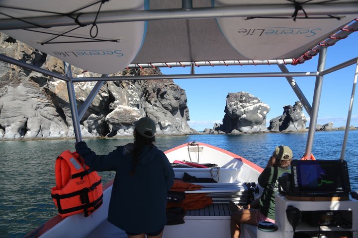 Coronado Island tour and swim with the sea lions