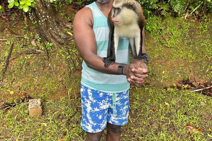 Grenada’s Best: Waterfalls, Chocolate, Rum and Rainforest Tour
