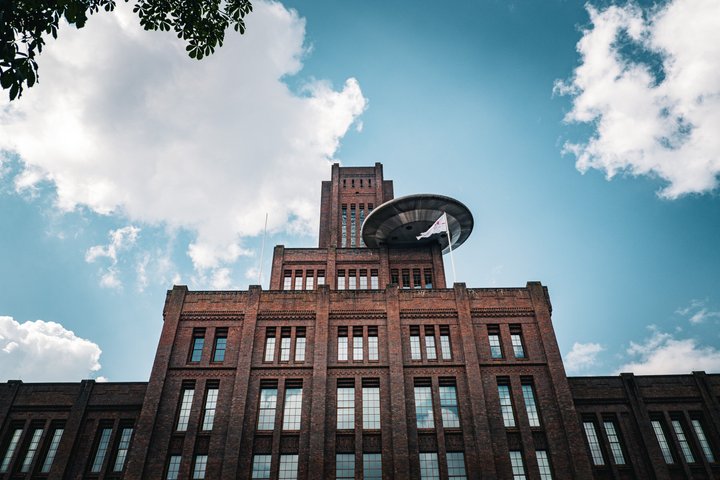 Utrecht Local Walking Tour | Discover the City | Small Group