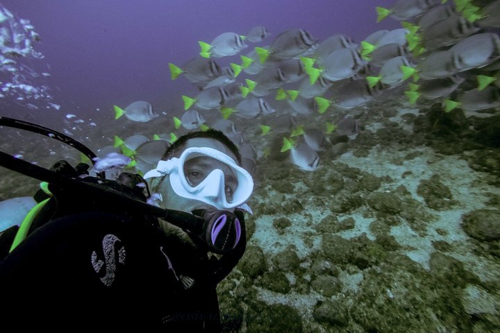 Small Group Scuba Diving Los Arcos from Sayulita