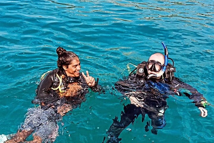 Small Group Scuba Diving Los Arcos from Sayulita