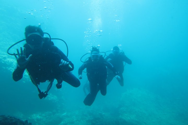 Small Group Scuba Diving Los Arcos from Sayulita