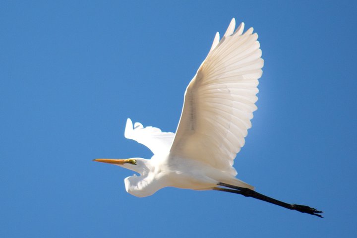 Morning Cruise on the Murchison River in Kalbarri (April to Nov)