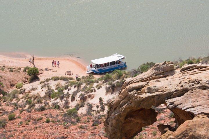 Morning Cruise on the Murchison River in Kalbarri (April to Nov)