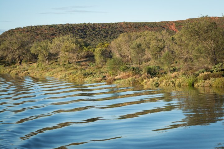 Morning Cruise on the Murchison River in Kalbarri (April to Nov)