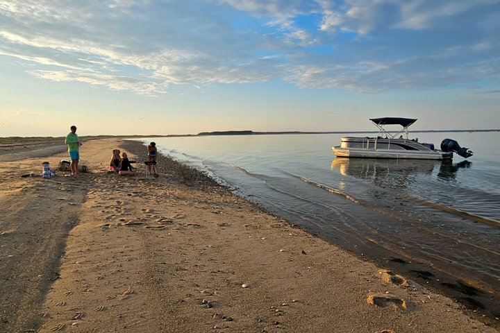 Wellfleet Harbor Seal Cruise Small Group Boat Tour on Cape Cod