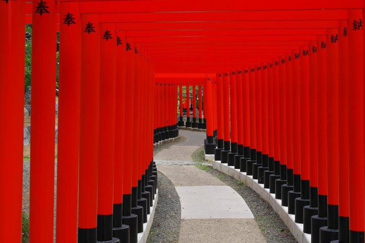 Thousand Red Gates and The Longest Wooden Bridge from Aomori Port