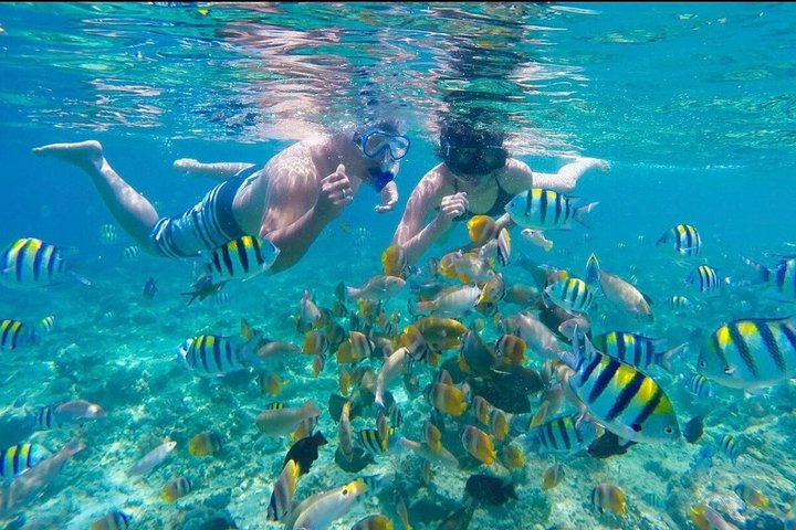 Boiling snorkeling boat rental in deshaies Guadeloupe