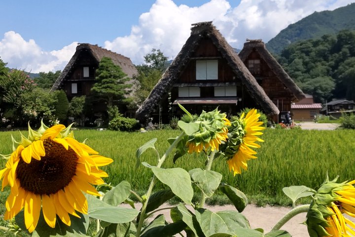 [One-day bus tour departing from Kanazawa Station] Shirakawa-go and Gokayama - Two World Heritage Villages Enjoyable Bus Tour
