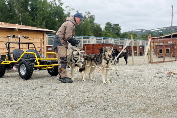Alta Private Husky Experience at a Racing Kennel