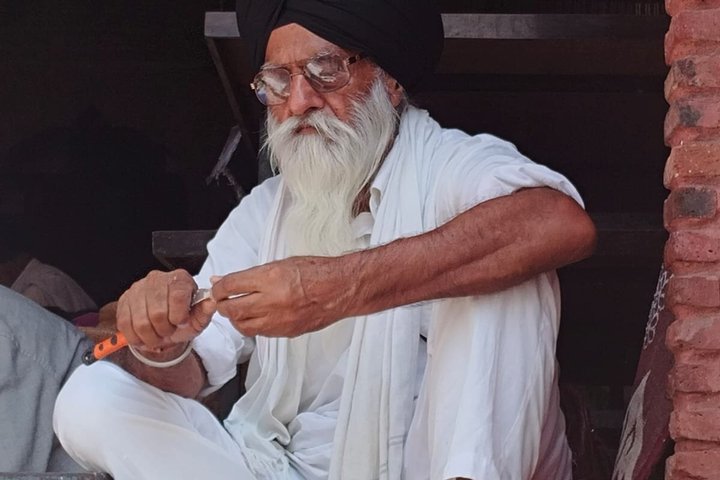 Private Amritsar Tour: Golden Temple, Jallianwala & Wagah Border