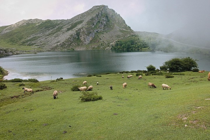 Excursion to the Lakes of Covadonga Cangas de Onís Small Group