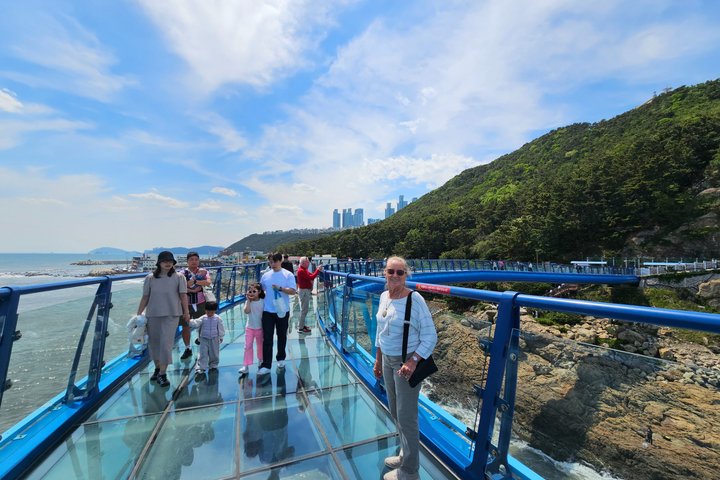 Busan Cruise Port – Premium Small Group Tour (Max 6 Guests)