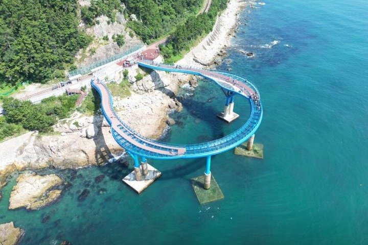 Busan Cruise Port – Premium Small Group Tour (Max 6 Guests)