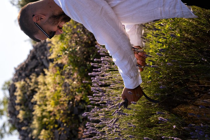 Hvar Lavender Fields,Stone Villages & Scenic Views by eTuk Tuk