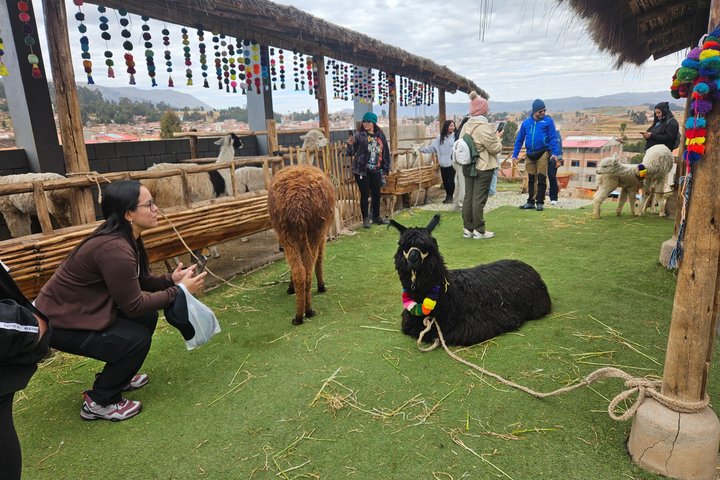 2-Day Tour from Cusco Sacred Valley and Machu Picchu by Train