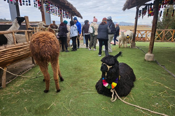 2-Day Tour from Cusco Sacred Valley and Machu Picchu by Train